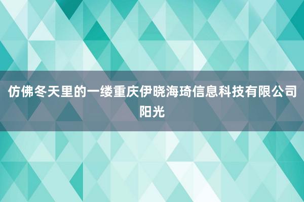 仿佛冬天里的一缕重庆伊晓海琦信息科技有限公司阳光
