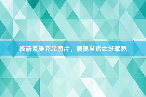 极新素雅花朵图片，展现当然之好意思