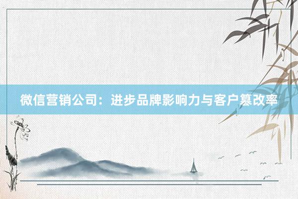 微信营销公司:进步品牌影响力与客户篡改率